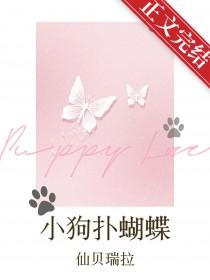 小狗追着蝴蝶