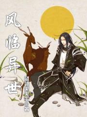 风临异世全文