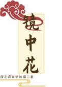 镜中花水中月梦中你