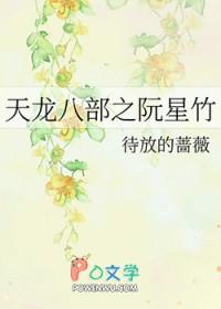 天龙八部阮星竹剧照