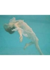 人非草木孰能无情出自哪里