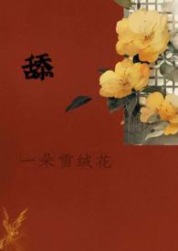 中空介孔二氧化硅