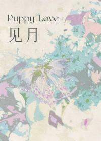 见月by一块小月饼全文免费阅读讲了什么