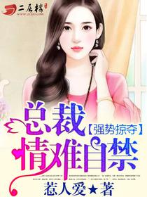 总裁情难自禁