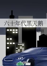 六十年代黑天鹅298