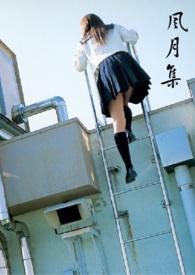 风月集by简言之