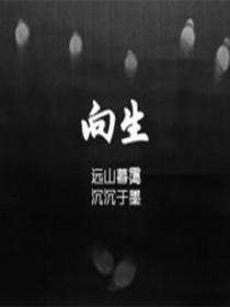 向生广播剧