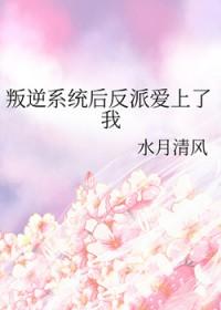 反叛系统已激活