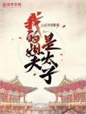 我的姐夫是太子主角几个老婆