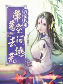穿越农家带空间