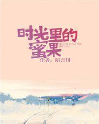 时光里的蜜果实体书