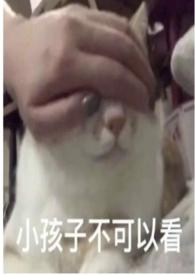 圈养全文免费阅读