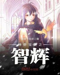 神奇宝贝之智辉第31章