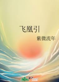 飞凰引简介