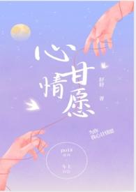 心甘情愿cp