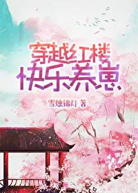 穿越红楼爽文