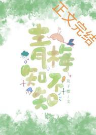 青梅知不知木子喵喵免费阅读全文