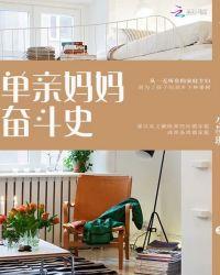 单亲妈妈的奋斗史电视剧百度百科