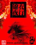 锦衣夜行讲的什么