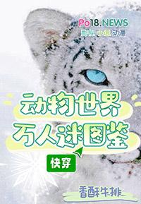 动物世界系列