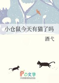 小仓鼠今天有猫了吗免费阅读全文
