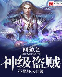 网游之盗贼杀神