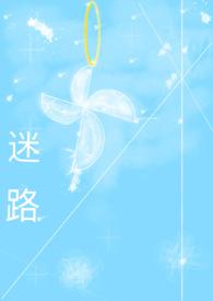 迷路阅读答案