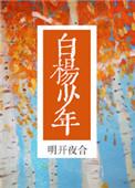 白杨少年笔趣阁