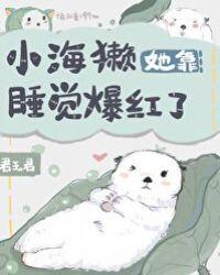 小海獭她靠睡觉爆红了28