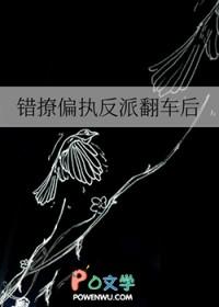 错撩偏执反派翻车后 作者二十一挽