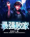最强败家子破解版