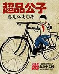 超品公子动画在线观看