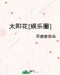 太阳花娱乐圈txt