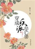 穿成反派早亡妻全文