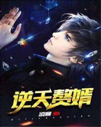 逆天强婿
