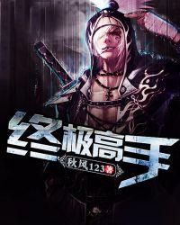 终极高手2百科