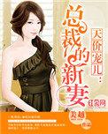天价宠儿总裁的新妻 一共多少章