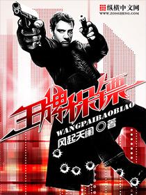 王牌盾保镖公司