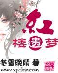 红楼遗梦迷男txt