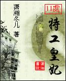 11处特工皇妃续集