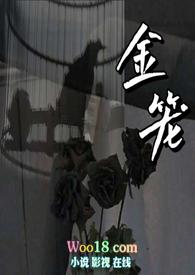 金笼np 清宜