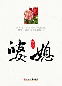 婆媳过招电视剧免费观看