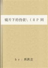 镜片下的伪装 hp同人