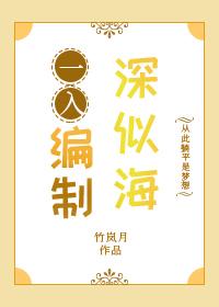 一入编制深似海by竹岚月推文