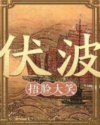 伏波号炮舰