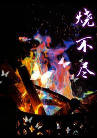 烧不尽广播剧配音演员表
