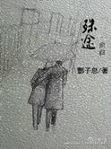殊途议论文