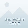 全民领主我的天