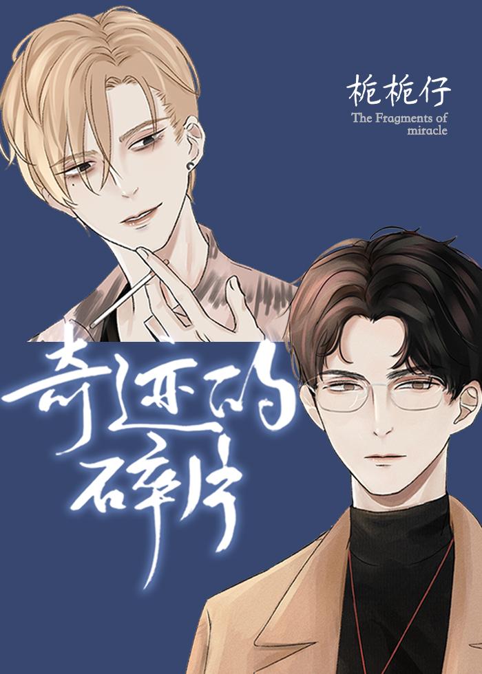 奇迹的碎片全本TXT电子书