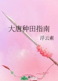 大唐种田流